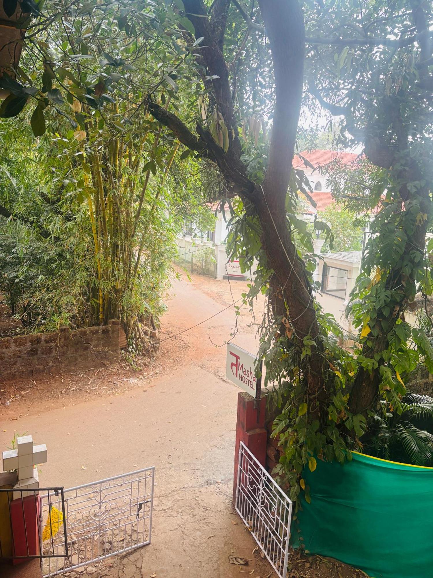 Tamasha Goa Vagatorホステル エクステリア 写真